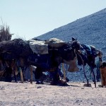 Desiertos no Desiertos